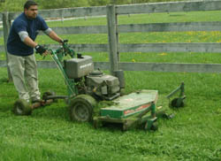 Grass Cutting and its Cost