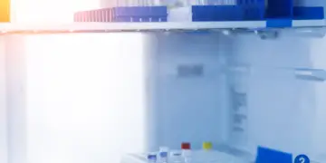 How Much Does It Cost to Freeze Eggs?