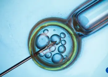 How Much Does IVF Cost Per Cycle?
