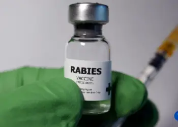 How Much Does a Rabies Shot Cost?