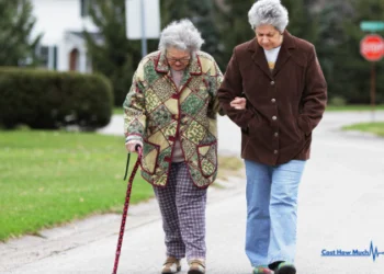 How Much Do Canes Cost?