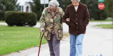 How Much Do Canes Cost?