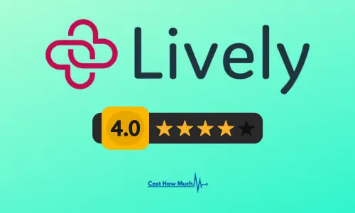 Lively HSA Review